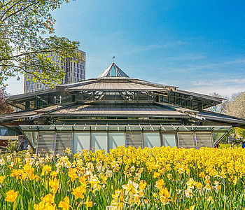 Stadtbahn-Haltestelle Stadtgarten Dortmund im Frühling